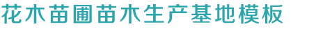 银河·国际galaxy(中国)